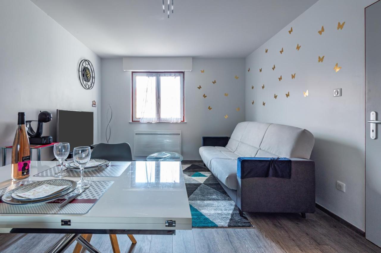 Halte De La Commanderie Apartment Colmar Ngoại thất bức ảnh