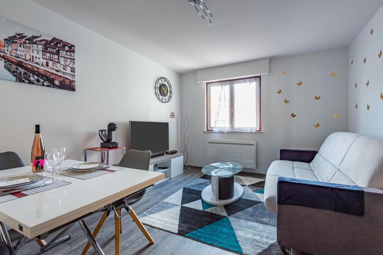 Halte De La Commanderie Apartment Colmar Ngoại thất bức ảnh